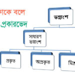 ভগ্নাংশ কাকে বলে