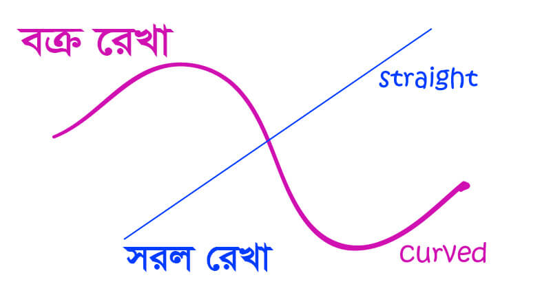 রেখা কাকে বলে