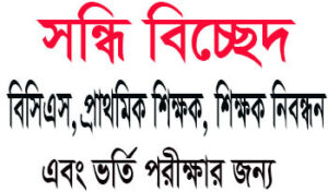 Read more about the article সন্ধি বিচ্ছেদ  | সন্ধি বিচ্ছেদ pdf