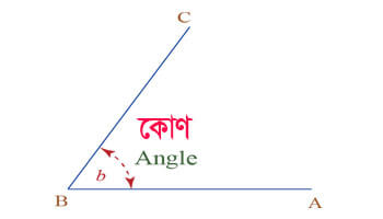 কোণ কাকে বলে