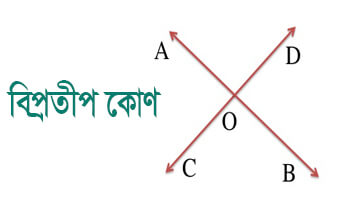 বিপ্রতীপ কোণ কাকে বলে