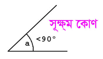 সূক্ষ্ম কোণ কাকে বলে