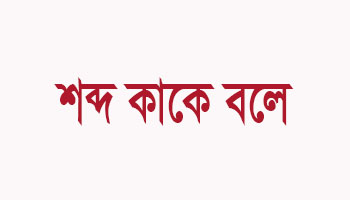 শব্দ কাকে বলে ও কত প্রকার