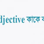 adjective নির্ণয় করার নিয়ম