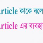 আর্টিকেল ককে বলে