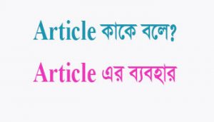 Read more about the article Article কাকে বলে