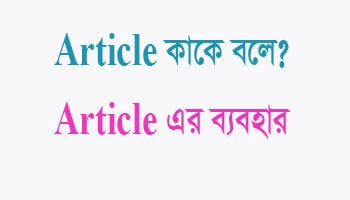 আর্টিকেল ককে বলে