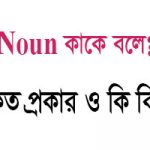 noun কত প্রকার
