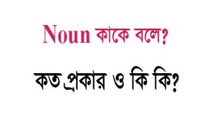 Read more about the article Noun কাকে বলে