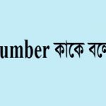 number কাকে বলে কত প্রকার