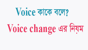Read more about the article Voice কাকে বলে