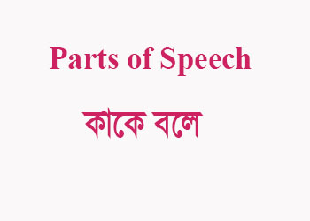 You are currently viewing Parts of Speech কাকে বলে