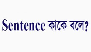 Read more about the article Sentence কাকে বলে