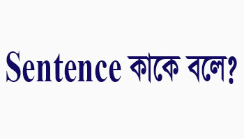 sentence কাকে বলে কত প্রকার ও কী কী