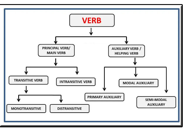 verb কত প্রকার ও কি কি