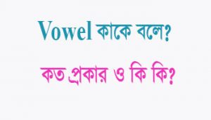 Read more about the article Vowel কাকে বলে