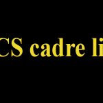BCS cadre