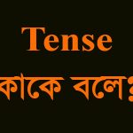 tense kake bole