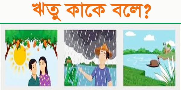 ঋতু পরিবর্তনের কারণ