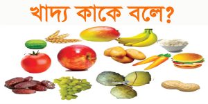 Read more about the article খাদ্য কাকে বলে