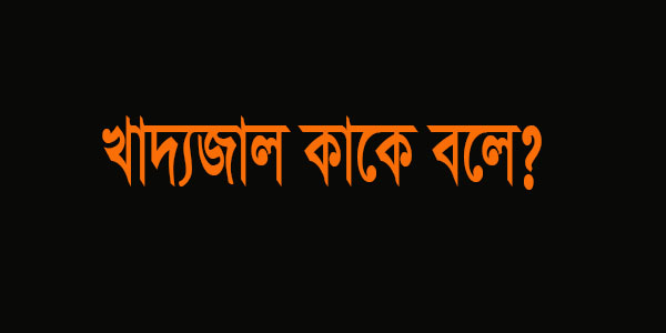 খাদ্যজাল কি