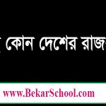 দুবাই রাজধানী