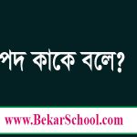 পদ কী