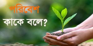 Read more about the article পরিবেশ কাকে বলে