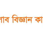 হিসাব বিজ্ঞানের জনক কে