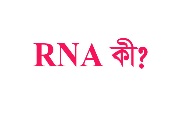 RNA কাকে বলে