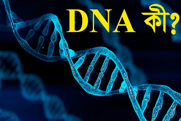 You are currently viewing DNA কী | DNA কাকে বলে ?