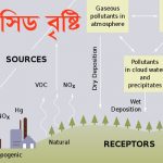 এ্যাসিড বৃষ্টি কাকে বলে