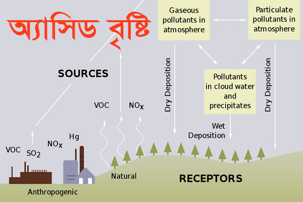 এ্যাসিড বৃষ্টি কাকে বলে