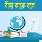 বীমার সংজ্ঞা