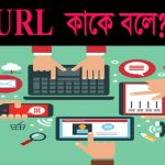 url বলতে বুঝায়