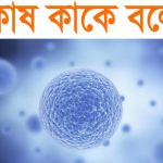 কোষ কাকে বলে কত প্রকার