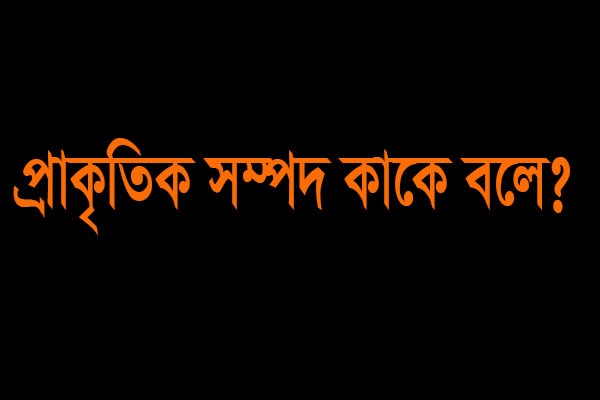 বাংলাদেশের প্রধান প্রাকৃতিক সম্পদ কি