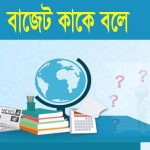 বাজেট কি এবং কাকে বলে