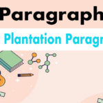 paragraph tree plantation